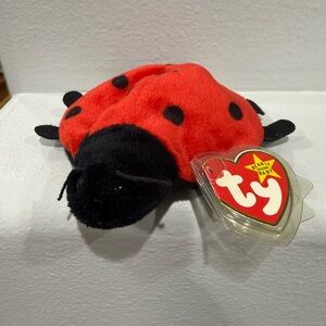 Ty Plush Red and Black Ladybug - Lucky